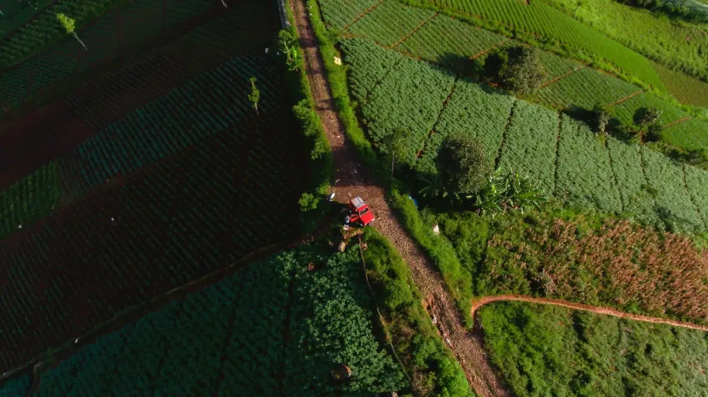 Future Opportunities in Global Agricultural Trade