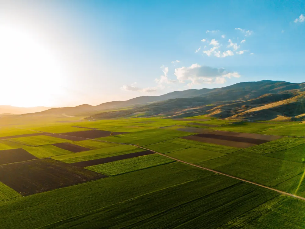 Agricultural Land Investment: A Long-Term Wealth Strategy