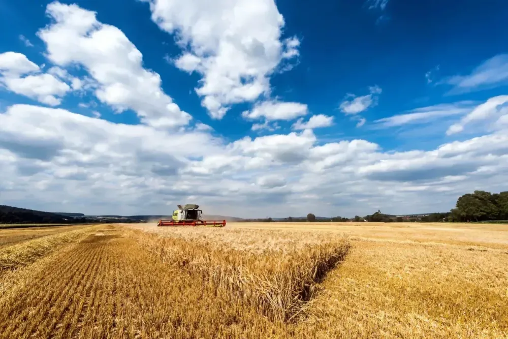 Agricultural Land Development: A Long-Term Growth Strategy