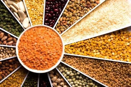 How Quality Control Impacts Agricultural Commodity Exports