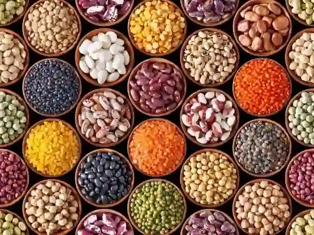 Future Opportunities in Global Agricultural Trade